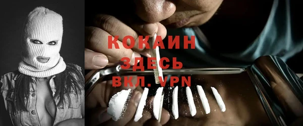 apvp Михайлов