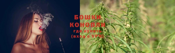 экстази Ветлуга