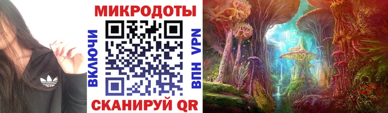 купить   Чебаркуль  darknet наркотические препараты  Галлюциногенные грибы Psilocybe 